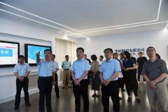 國家發(fā)展改革委領導一行來公司調(diào)研